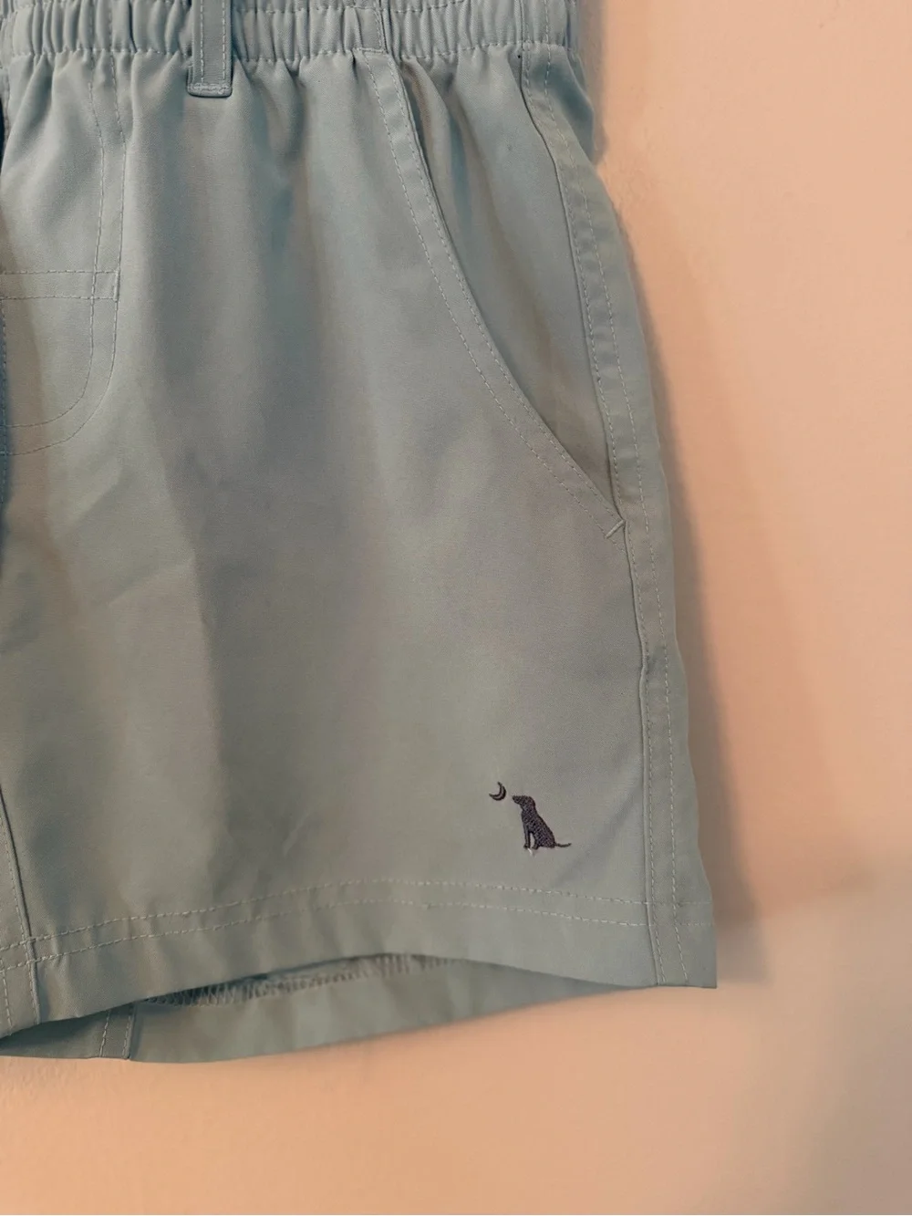Local Boy Light Blue Shorts